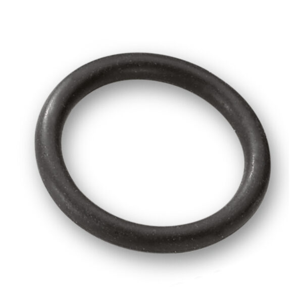 Kärcher O-Ring